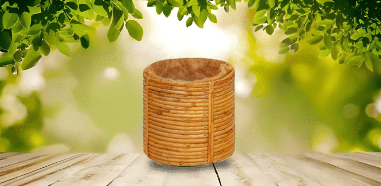 Top 5 Reasons Snake Owners Are Switching to Coconut Fiber