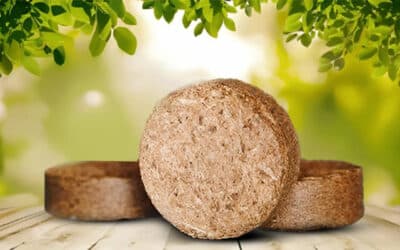 The Ultimate Guide to Using Coco Discs for Gardening Success