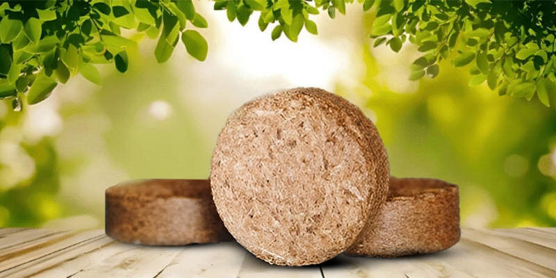The Ultimate Guide to Using Coco Discs for Gardening Success