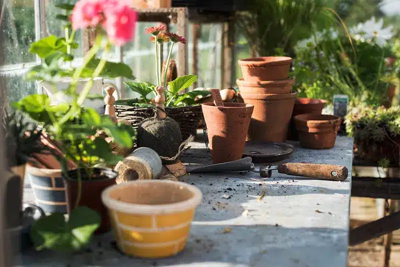 Grow Bags vs Pots: Which Is Better for Your Garden?