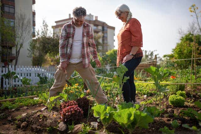 Do Coco Discs Help Plants Grow Faster? Here’s What Gardeners Need to Know
